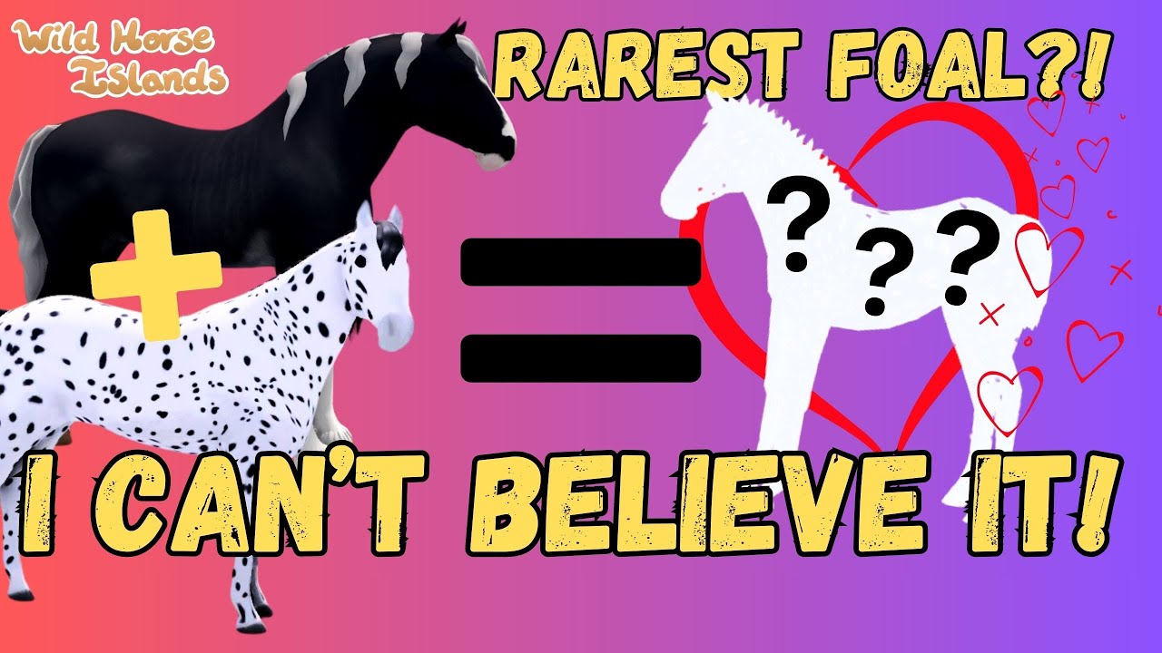 BREEDING SPOTTED DRAFT FOALS! WILD HORSE ISLANDS ROBLOX