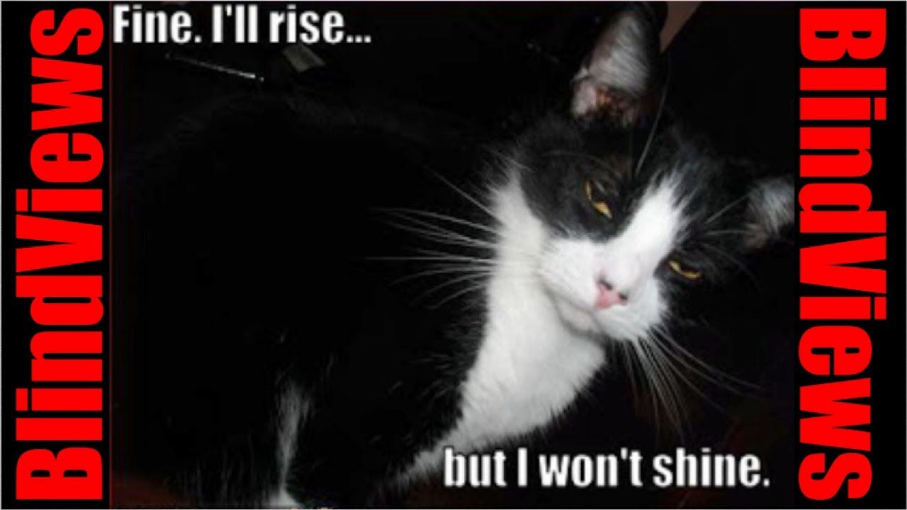 Sunday Morning Coffee and chat