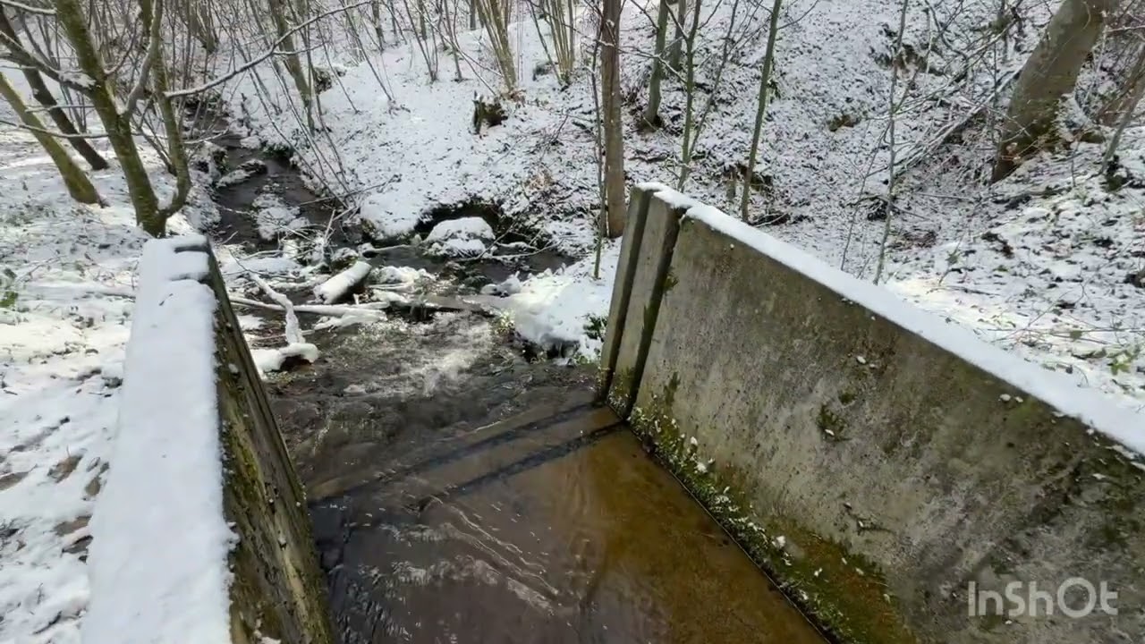daisendorf neuweiher 