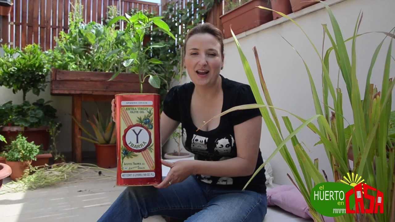 El huerto en casa 35 poda del pimiento
