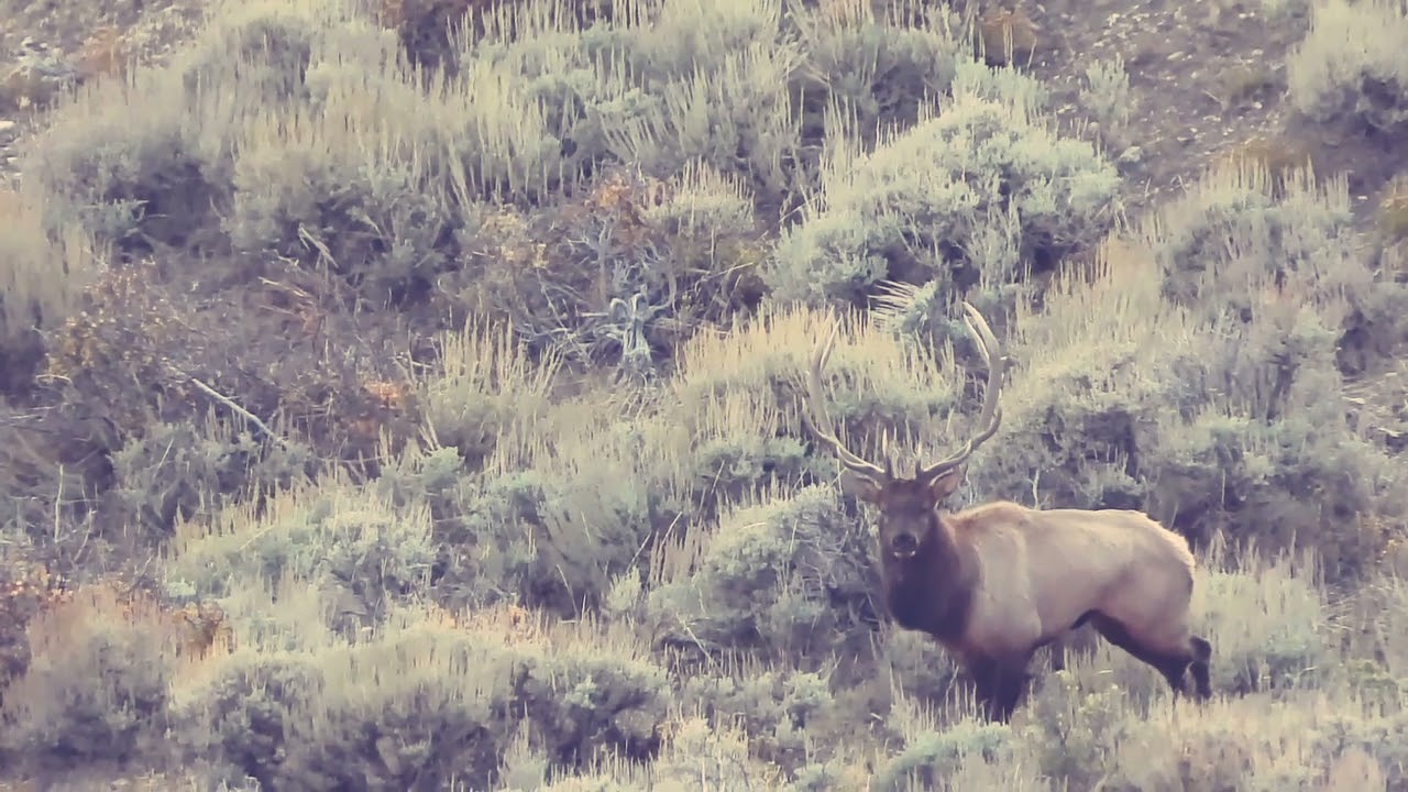 Colorado GMU Unit 45 Hunting Information