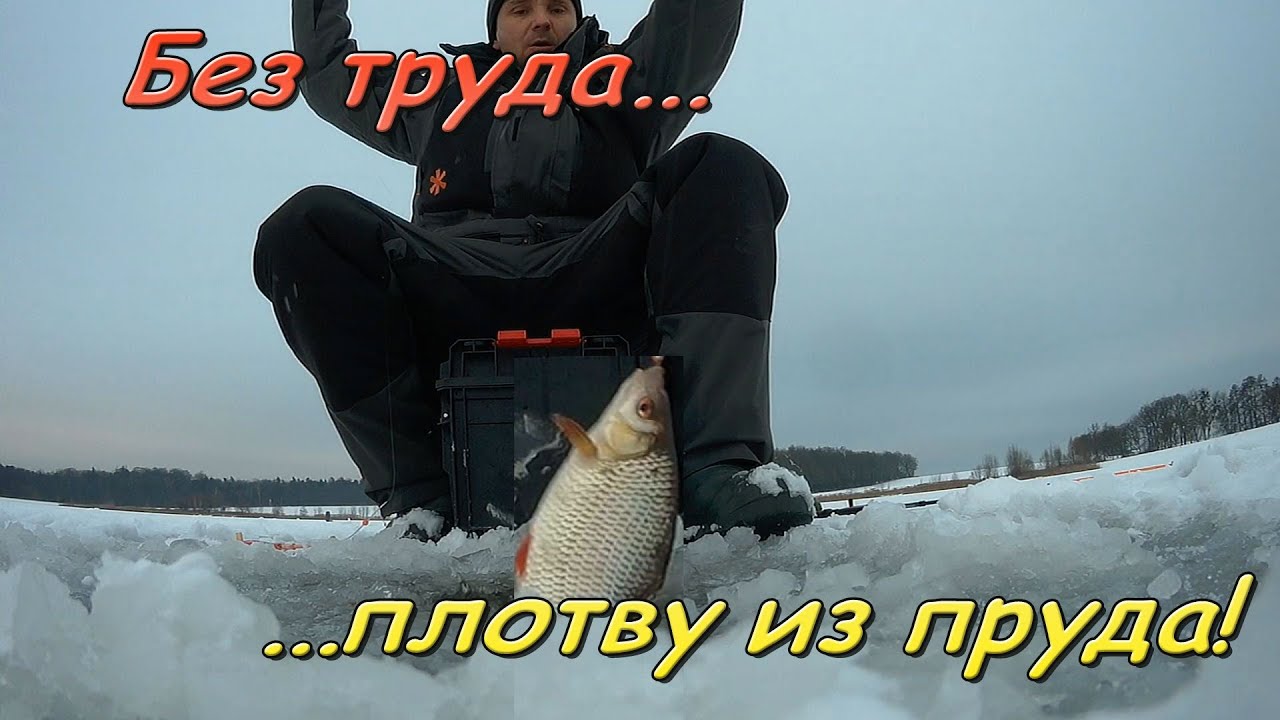 Мы её нашли. Ловля крупной плотвы. Рыбалка в Польше