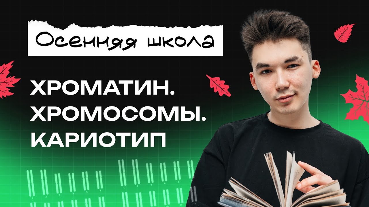 ХРОМАТИН. ХРОМОСОМЫ. КАРИОТИП | ЕГЭ-2026 ПО БИОЛОГИИ | NeoFamily