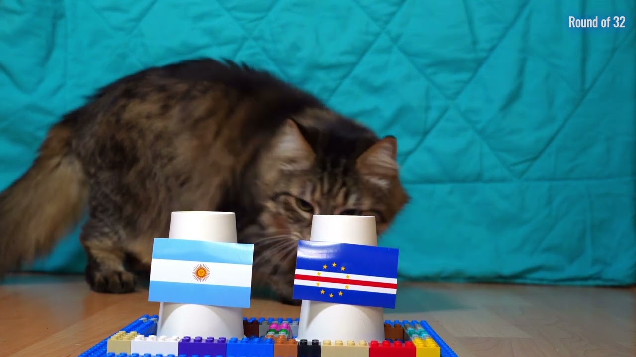 Argentina Vs Cape Verde - Cats World Cup 2026 Prediction