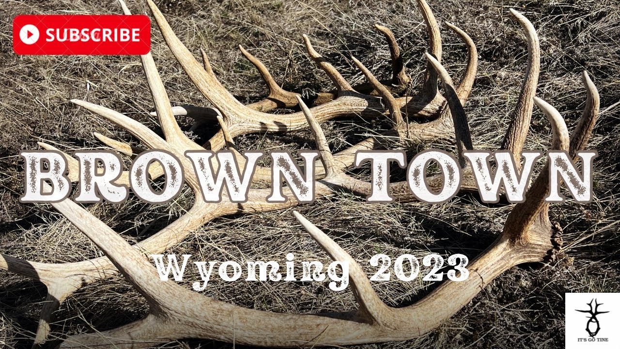 Brown Elk Sheds | Shed Hunting WY 2023.