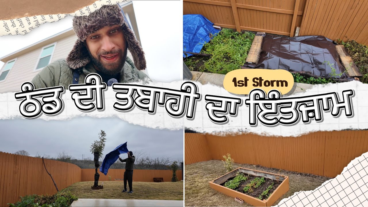ਸਾਰਾ ਸ਼ਹਿਰ ਬੰਦ 3 ਦਿਨ ਲਈ | ਪਹਿਲੀ BLACK ICE | Jan 24