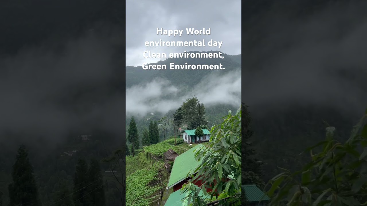 World environmental day  #worldenvironmentday2025  #clean environment #green environment
