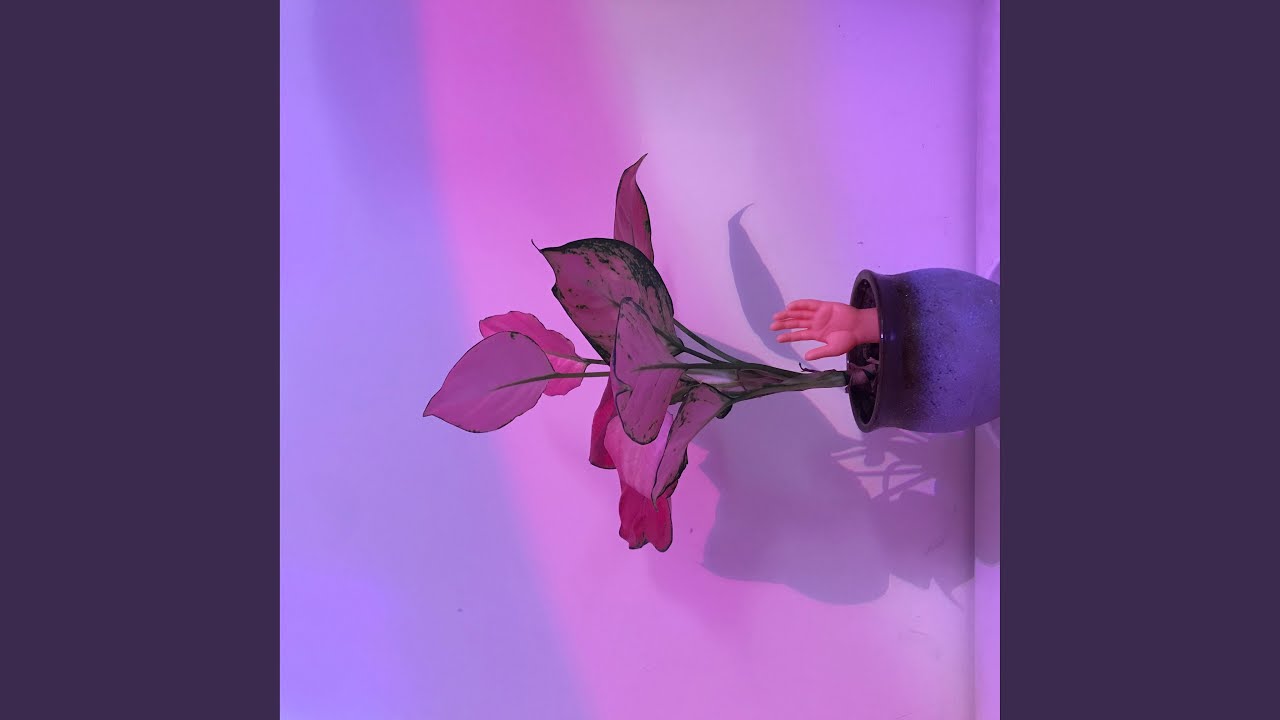 风情万种