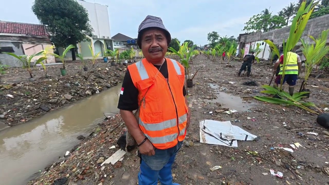 PARAH NI GAES, SAAT PENANAMAN POHON KELAPA HIBRIDA, TIBA TIBA DI CABUTIN,...