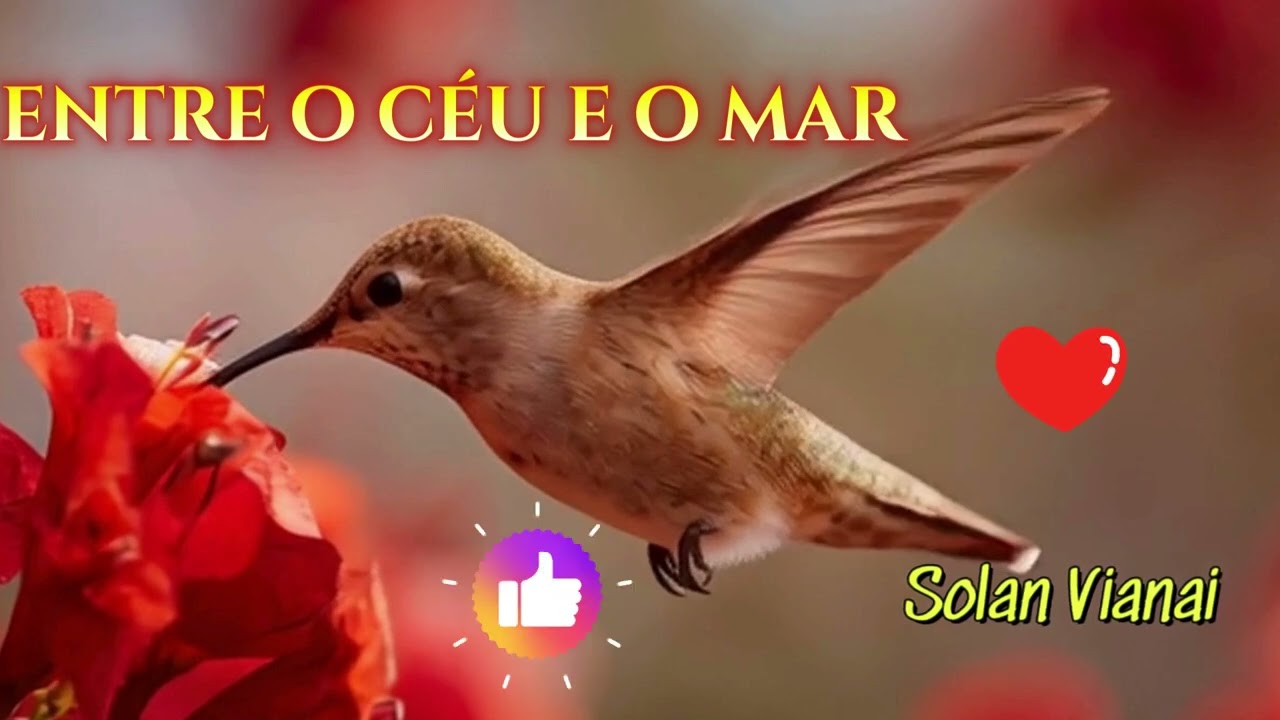 ENTRE O CÉU E O MAR -#cyanvianai