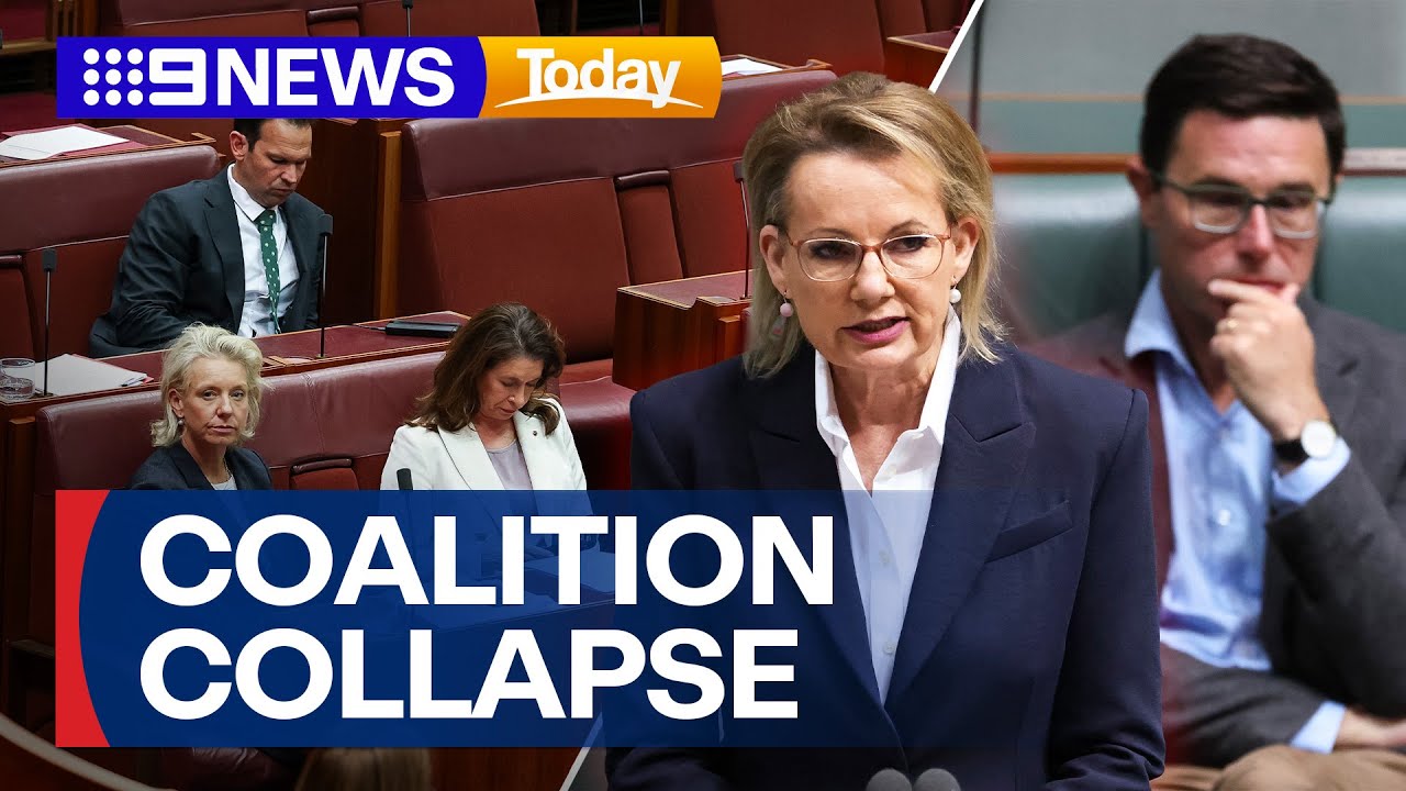 All National frontbenchers resign from Sussan Ley’s shadow cabinet | 9 News Australia