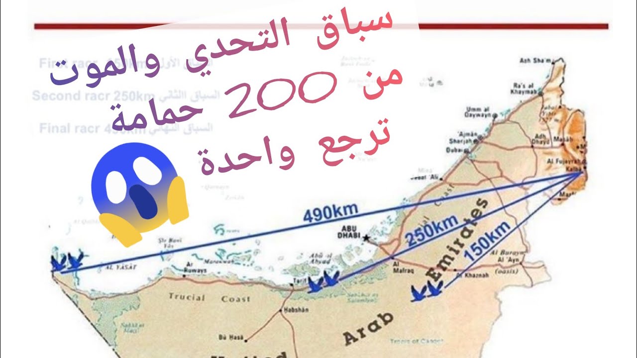 سباق القدرة, سباق التحدي والموت