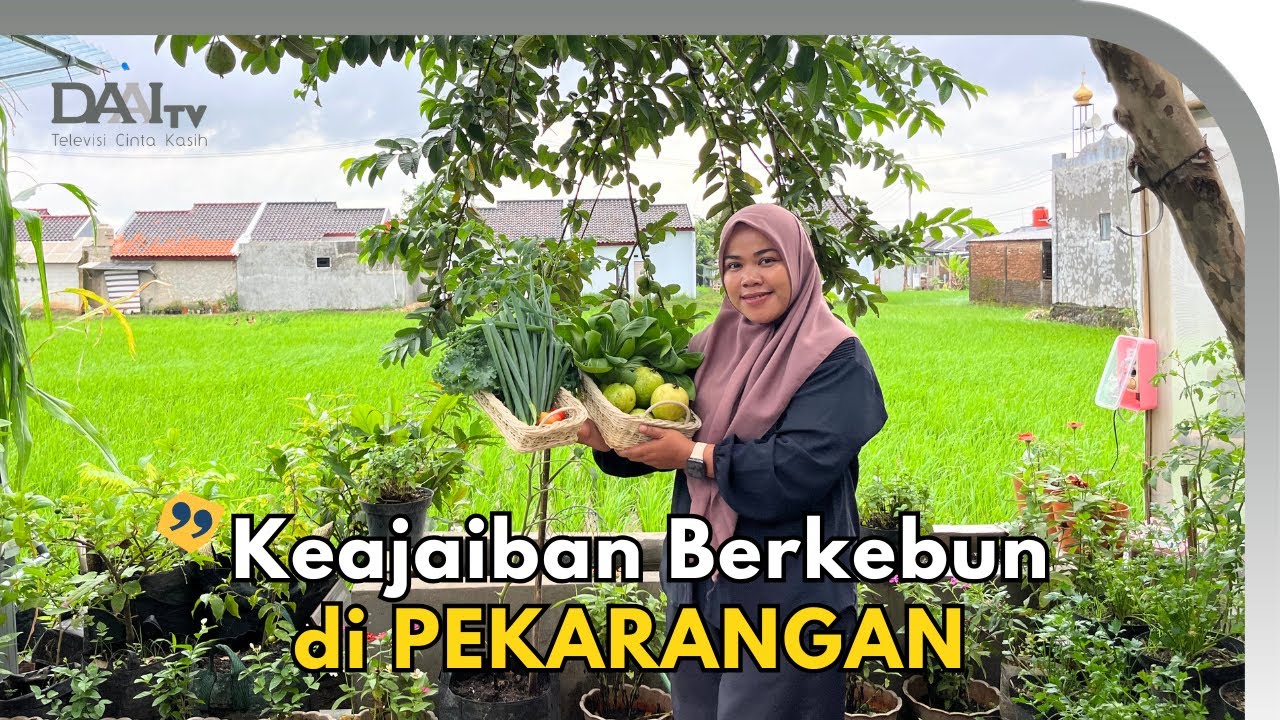 Maksimalkan Pekarangan Rumah dengan Tanam Sayur Organik