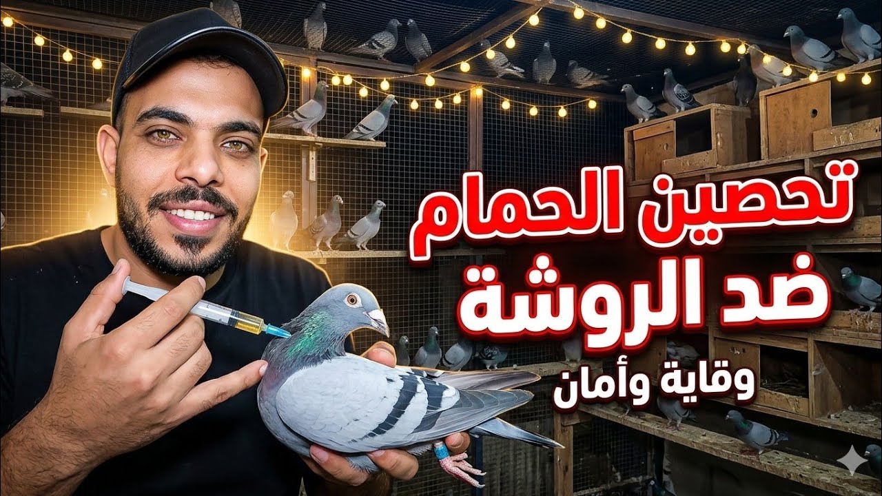 تحصين الحمام ضد الروشه#الحمام_مع_الطوخي 