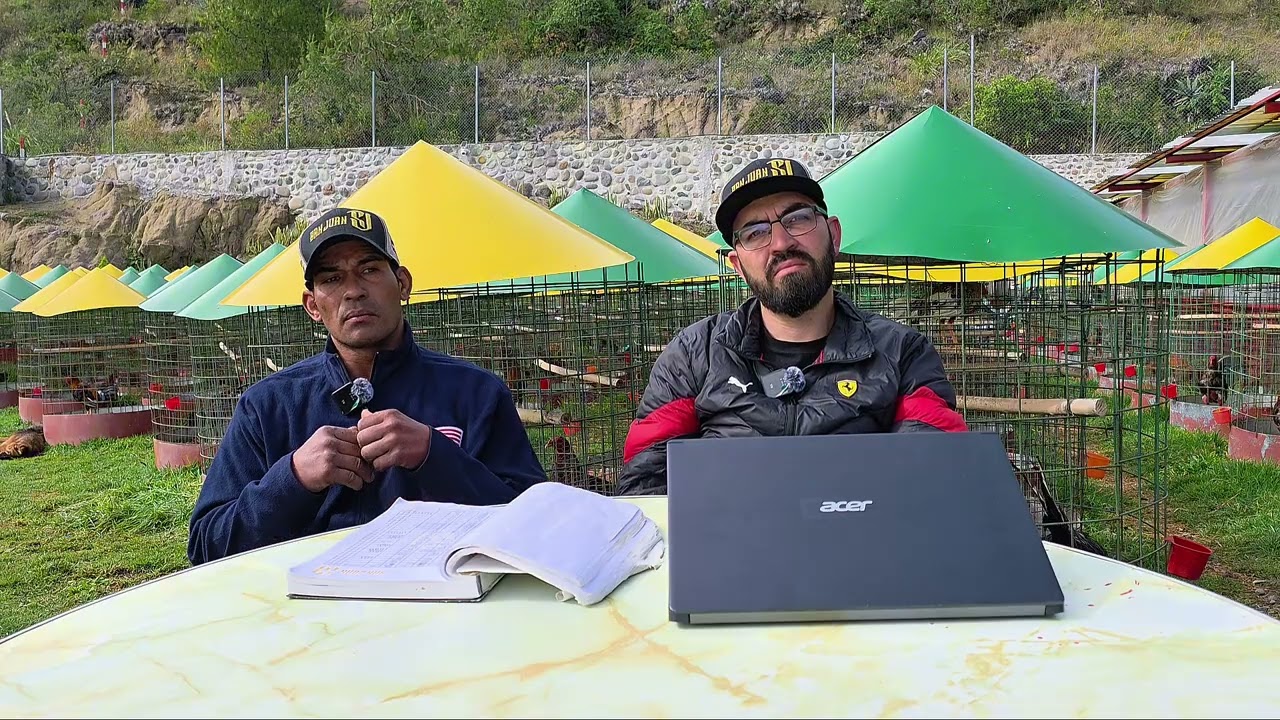 La Evolución Gallistica en el Ecuador Y las Espuelas Plásticas 