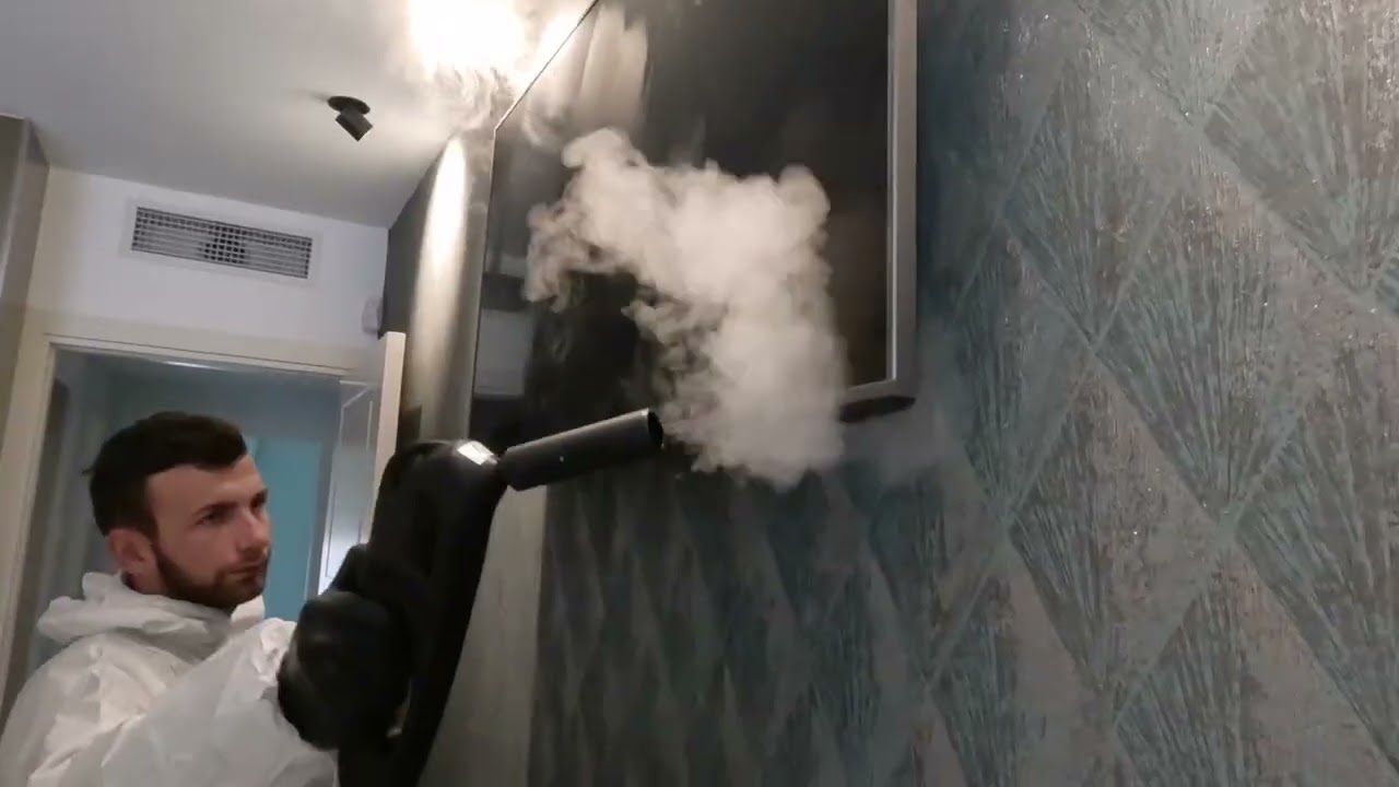 NaceCare Bed Bug Remover -Steam Gun