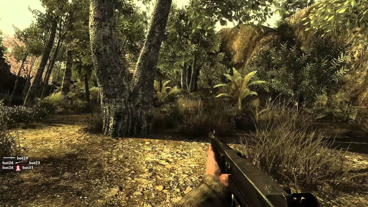 Zen-Mk COD5 Bot Cheatado GL ban