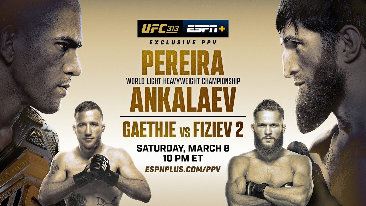 Face The Pain: UFC 313 Pereira Vs Ankalaev