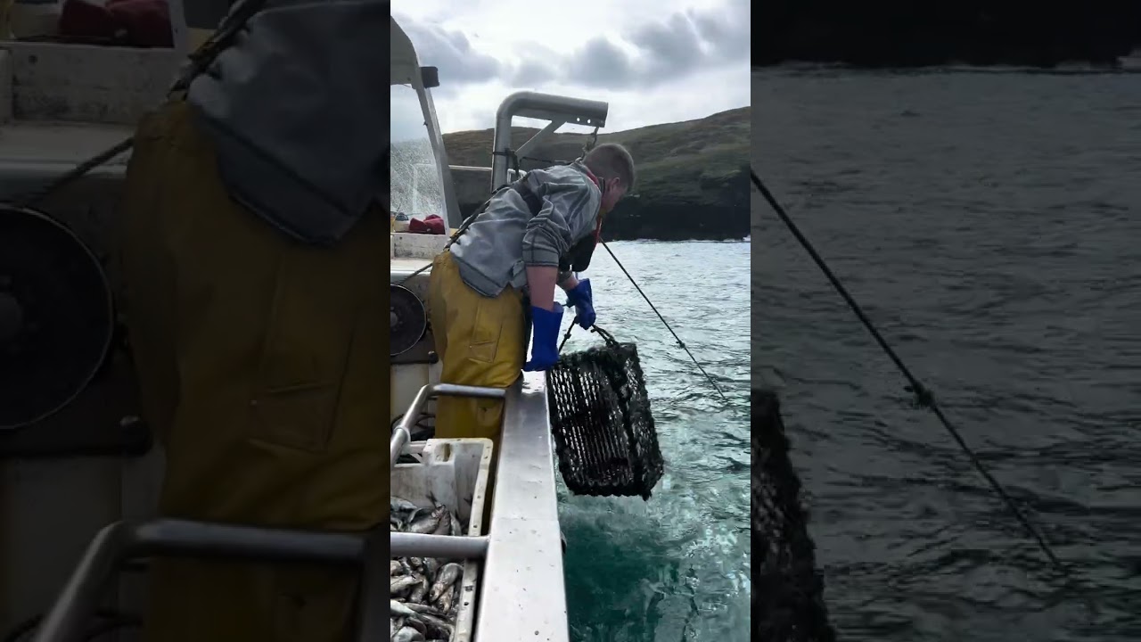 Potting for lobsters from Port Isaac, Cornwall
