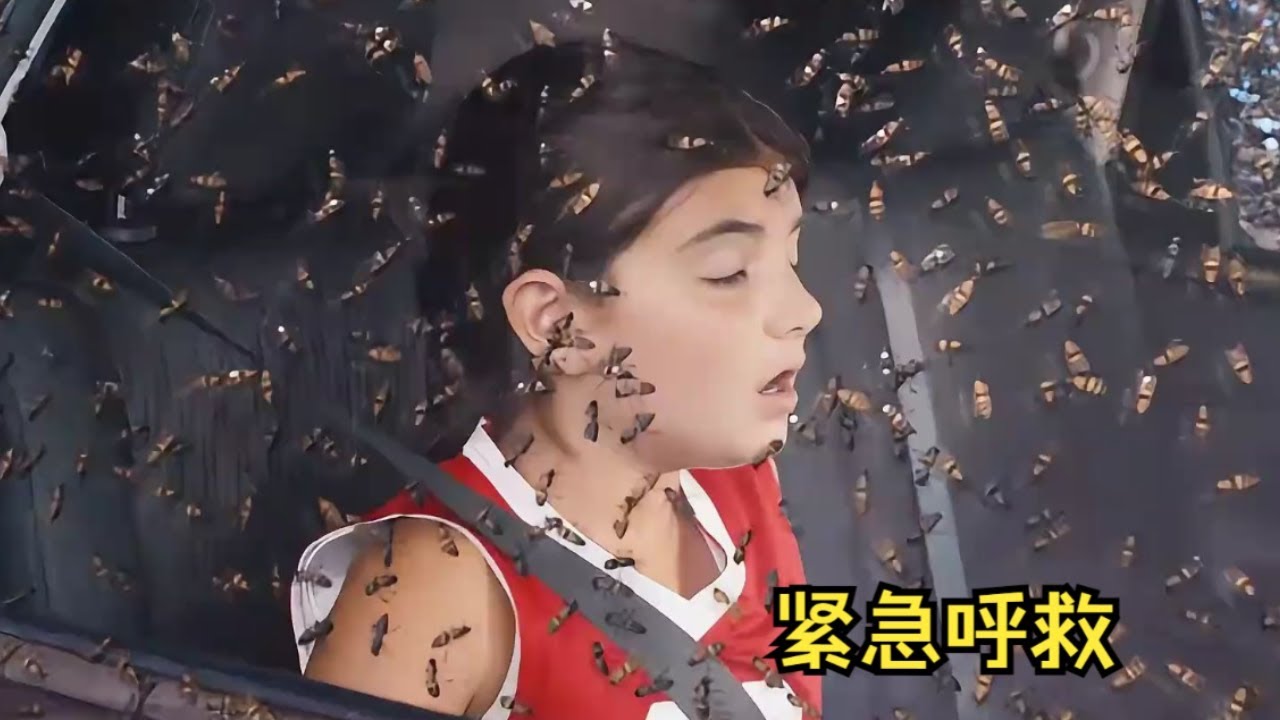 蜜蜂蜂拥而出，灾难不请自来 #影视解说 #movie #電影 #解说 #电影解说 #惊悚