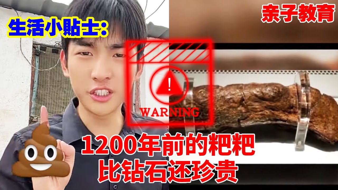 生活小贴士：1200年前的粑粑你见过吗？居然价值连城，比钻石还珍贵！