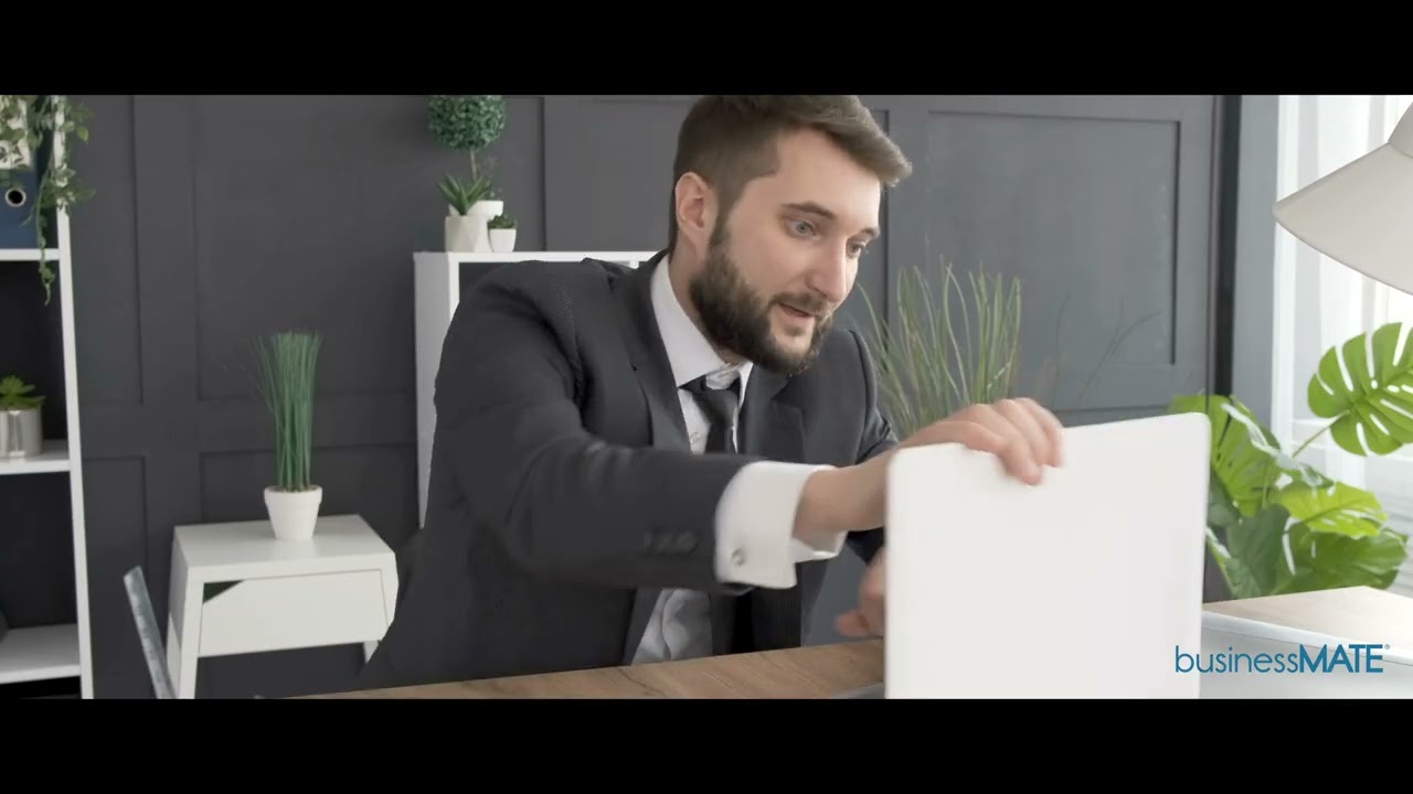 businessMATE Overview