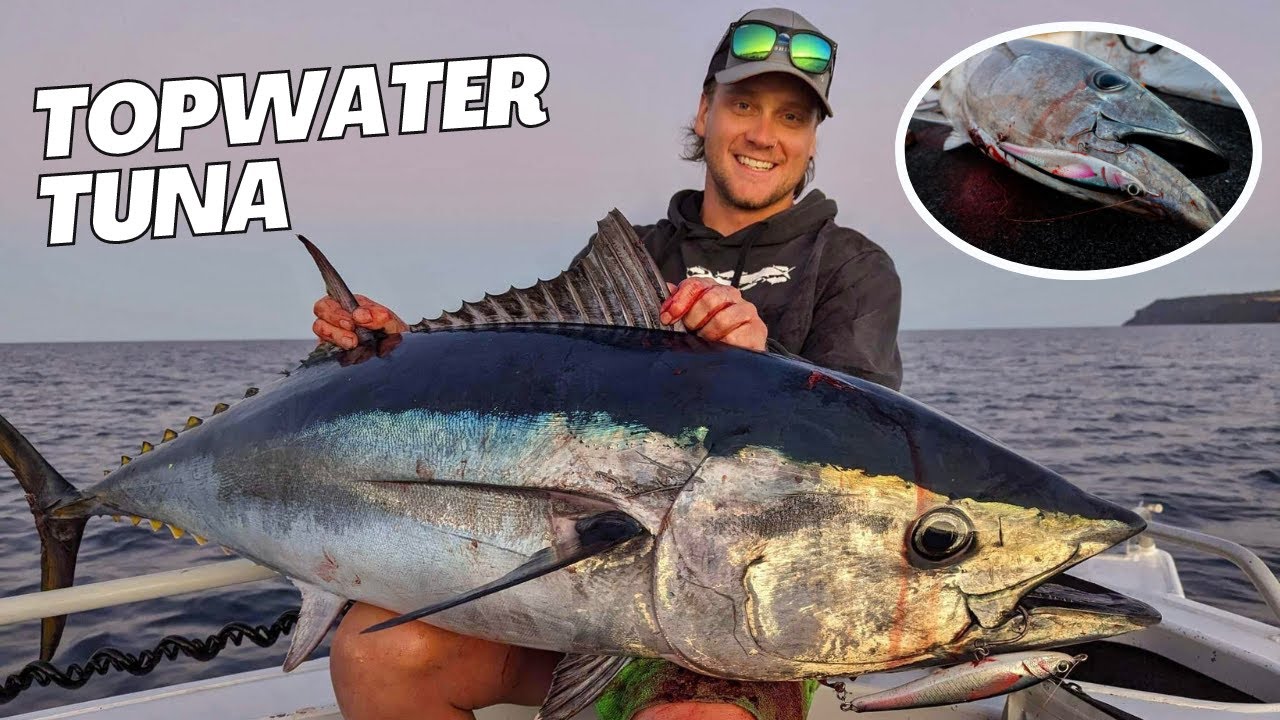 Massive Topwater Tuna on PE3, NW TAS
