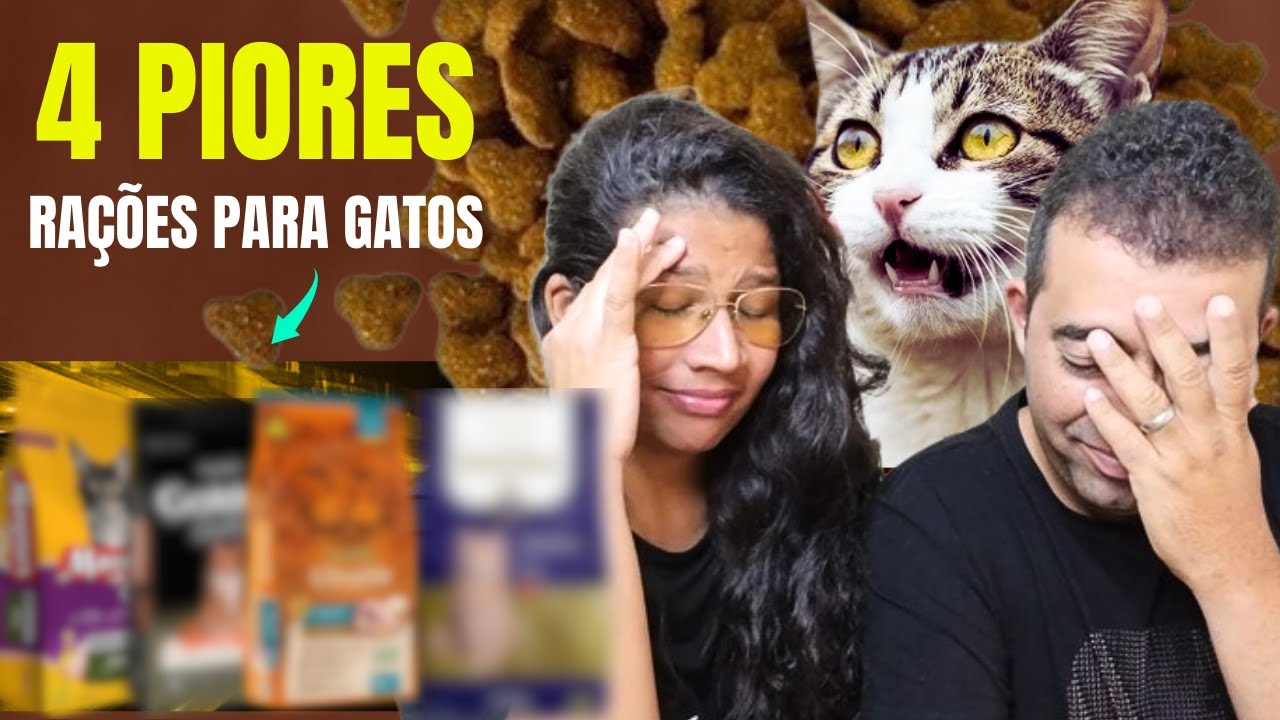 ESSAS RAÇÕES PODE MAT@R SEU GATO: 4 PIORES Rações para GATOS