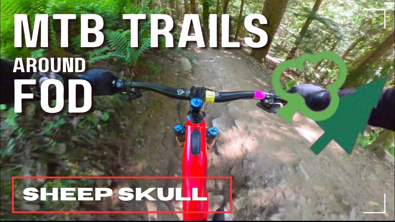 The best MTB trails around Forest of Dean. Sheep Skull