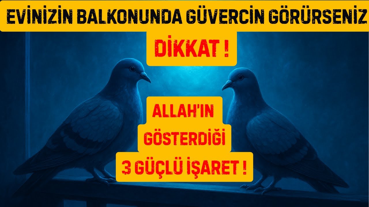 “Balkonunuza Konan Güvercinler Tesadüf Değil! Allah’ın 3 Gizli Mesajı”