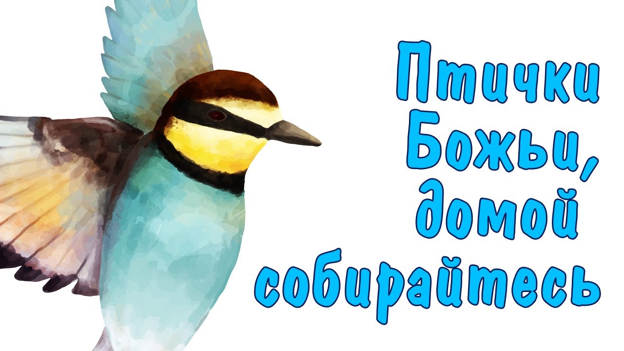 Птички Божьи, домой собирайтесь