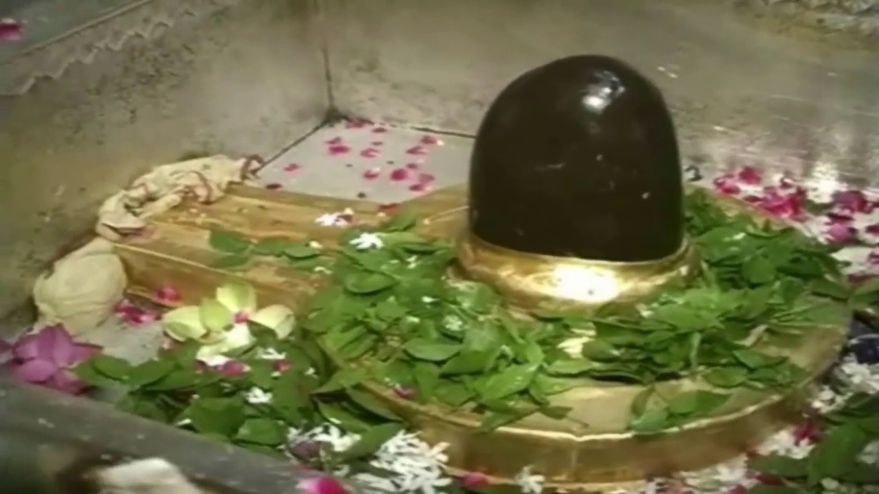 काशी विश्वनाथ मंदिर वाराणसी - Live Darshan