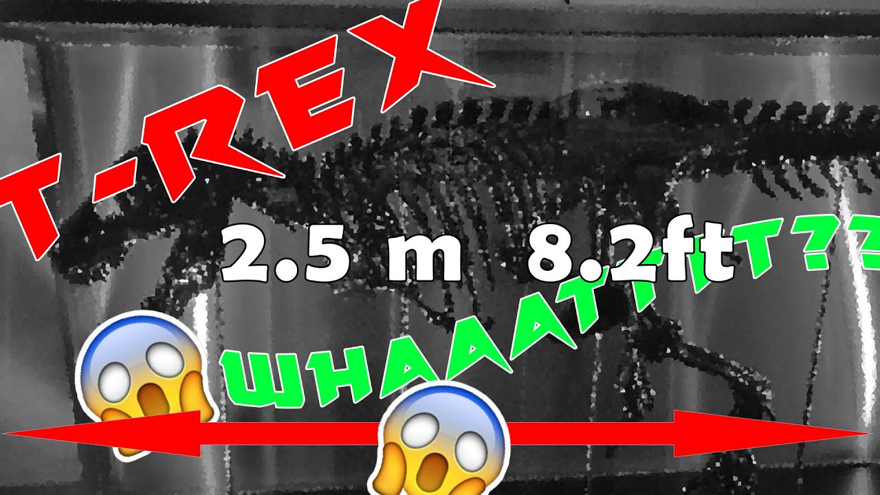 3d print T-Rex 2m50 (8.2ft) INCROYABLE