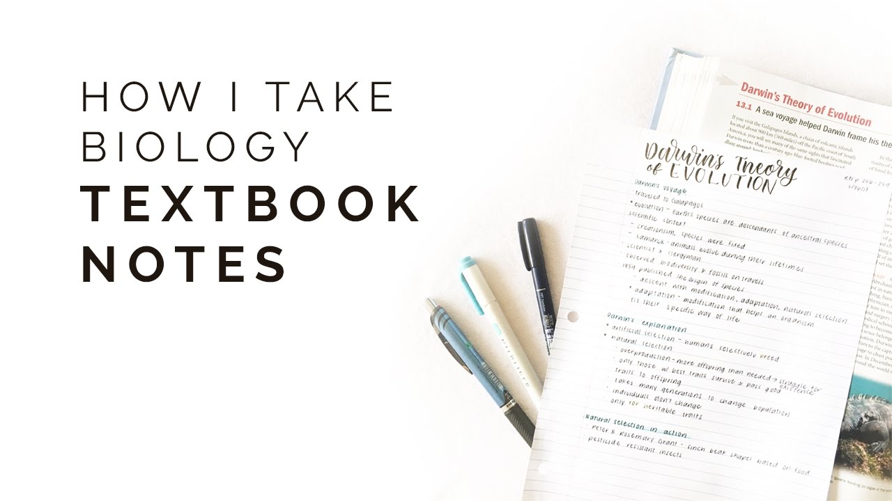 how to take textbook notes 🌿 study with me