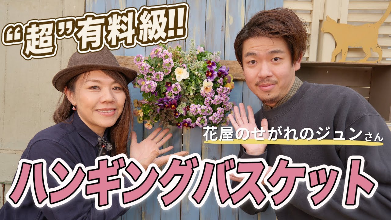 【ワンランクUP‼︎】『後編』“花屋のせがれのジュンさん”とオシャレなハンギングバスケットの作り方をご紹介します♪【初心者向け】【ガーデニング】【園芸チャンネル】