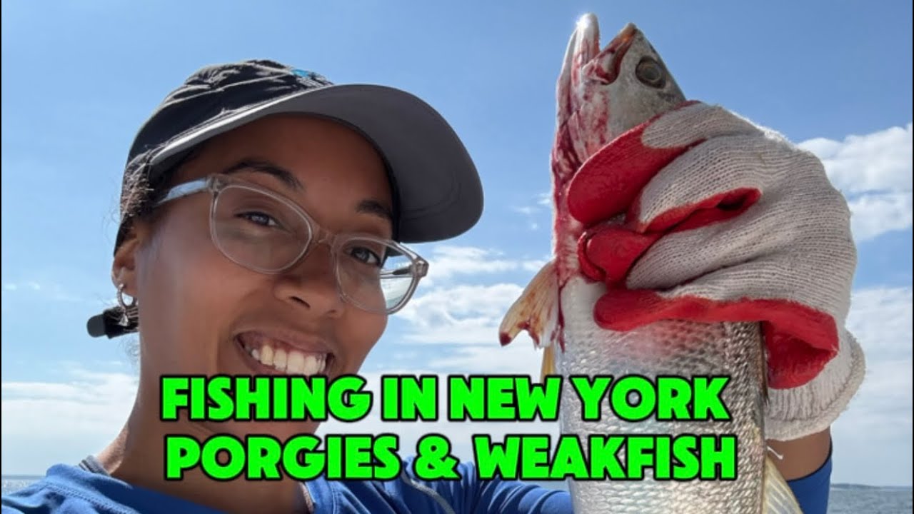 Fishing in New York | SoundBound Fishing Charters | Jumbo Porgies + Weakfish