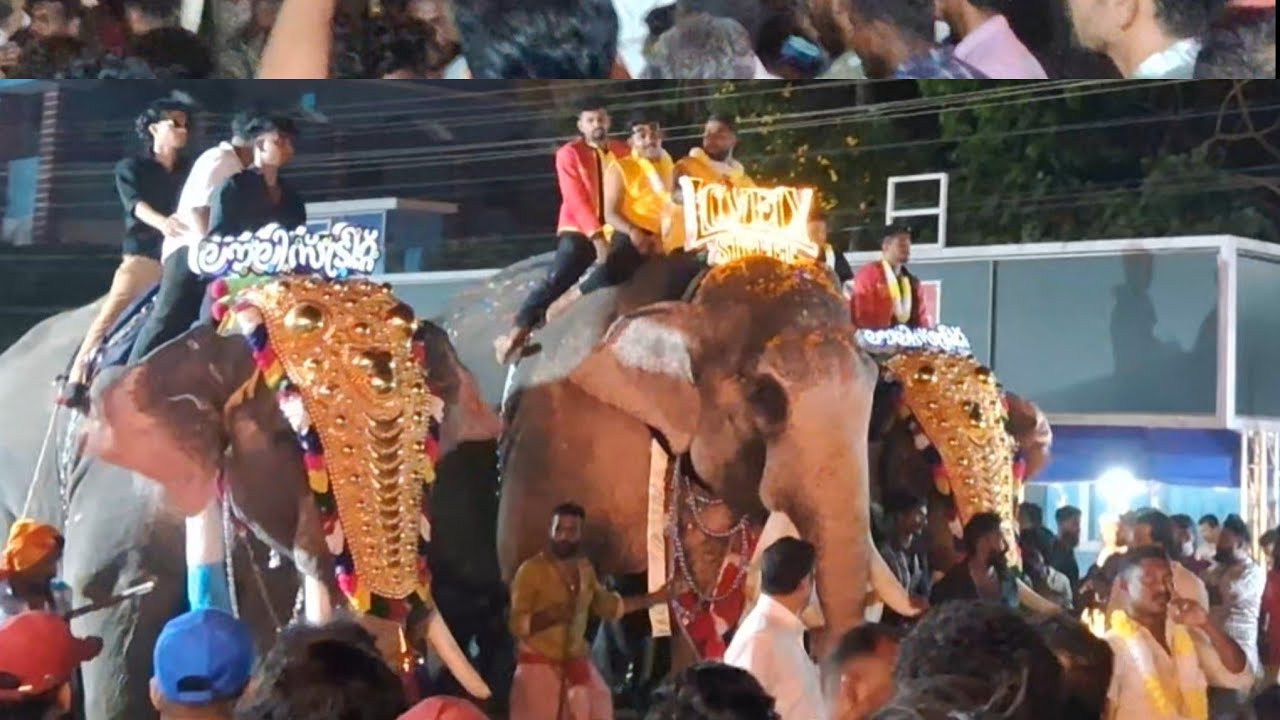 പട്ടാമ്പി നേർച്ച 2024 |Pattambi nercha 2k24 അവസാനം വന്ന ആനയുടെ നില്പ് ശെരിയല്ലാ.എല്ലാവരും മടങ്ങി