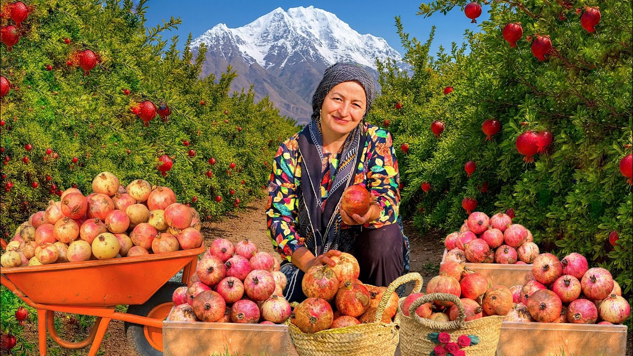Farm to table|picking&making pomegranate juice in IRAN village lifestyle