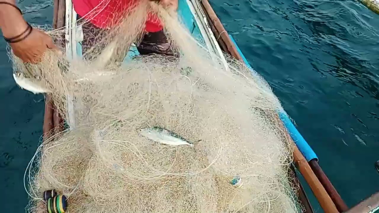 #naka pamasko sa dagat nang maraming alumahan at isdang matambaka