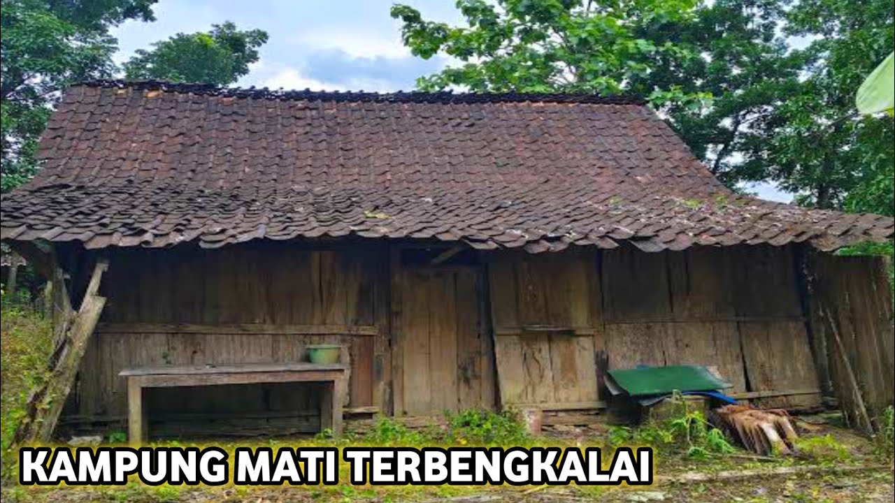Hidup di Desa | Kampung Mati Margodadi Tanpa Satupun Manusia