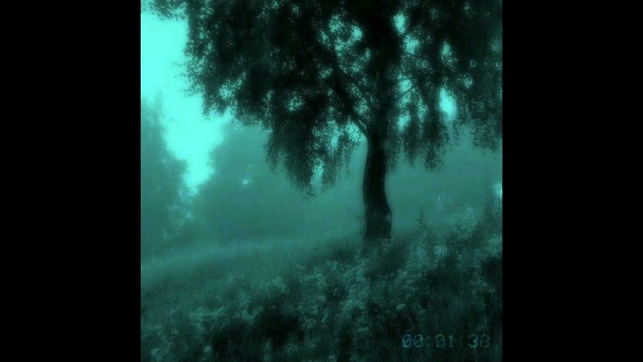 (FREE FOR PROFIT) DARK AMBIENT TYPE BEAT - 