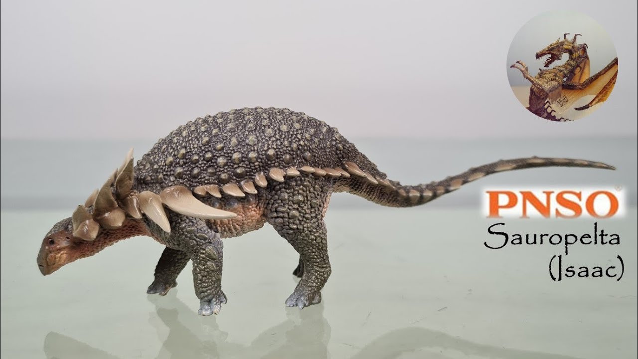 #90: PNSO 2020 Sauropelta (Isaac) Review