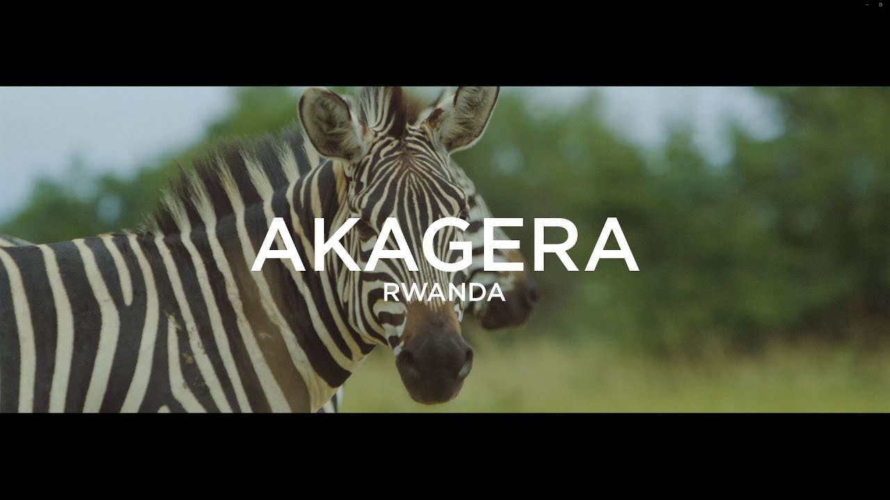 Akagera National Park | Rwanda in 4K