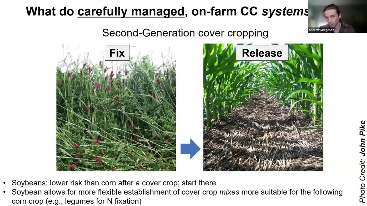 Webinar: Cover Crops and Soil Health for Better Crop Fertility Decisions