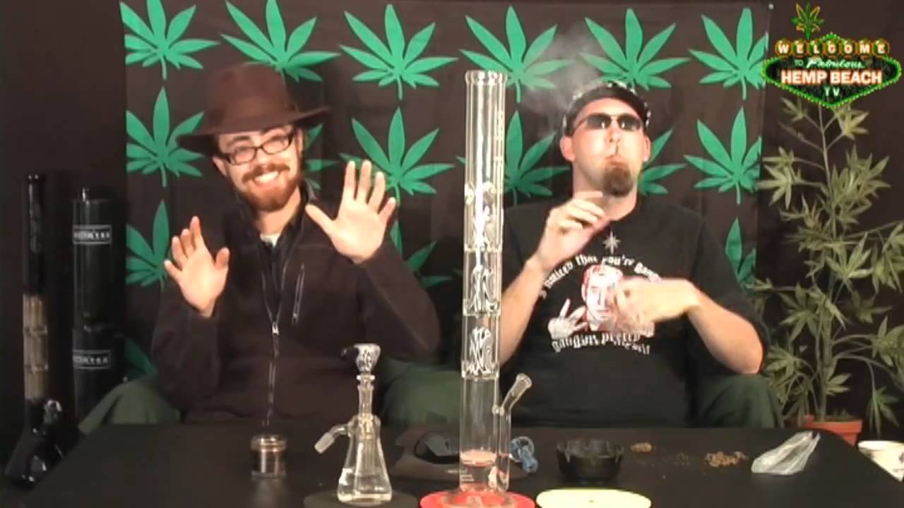 Hemp Beach TV Episode 115 Going, Going, Back, Back to Cali, Cali...