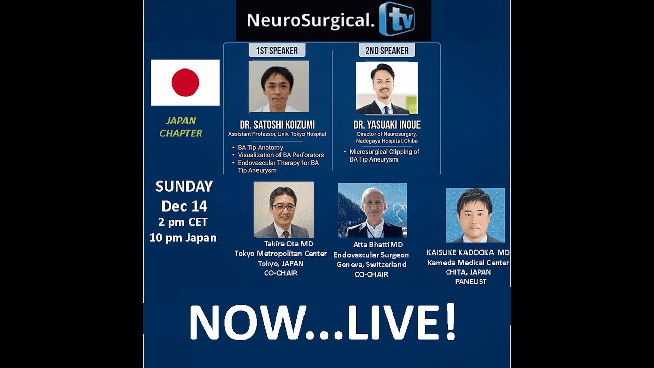 Basilar Tip Aneurysms: Endovascular vs Microsurgical Strategies in Japan