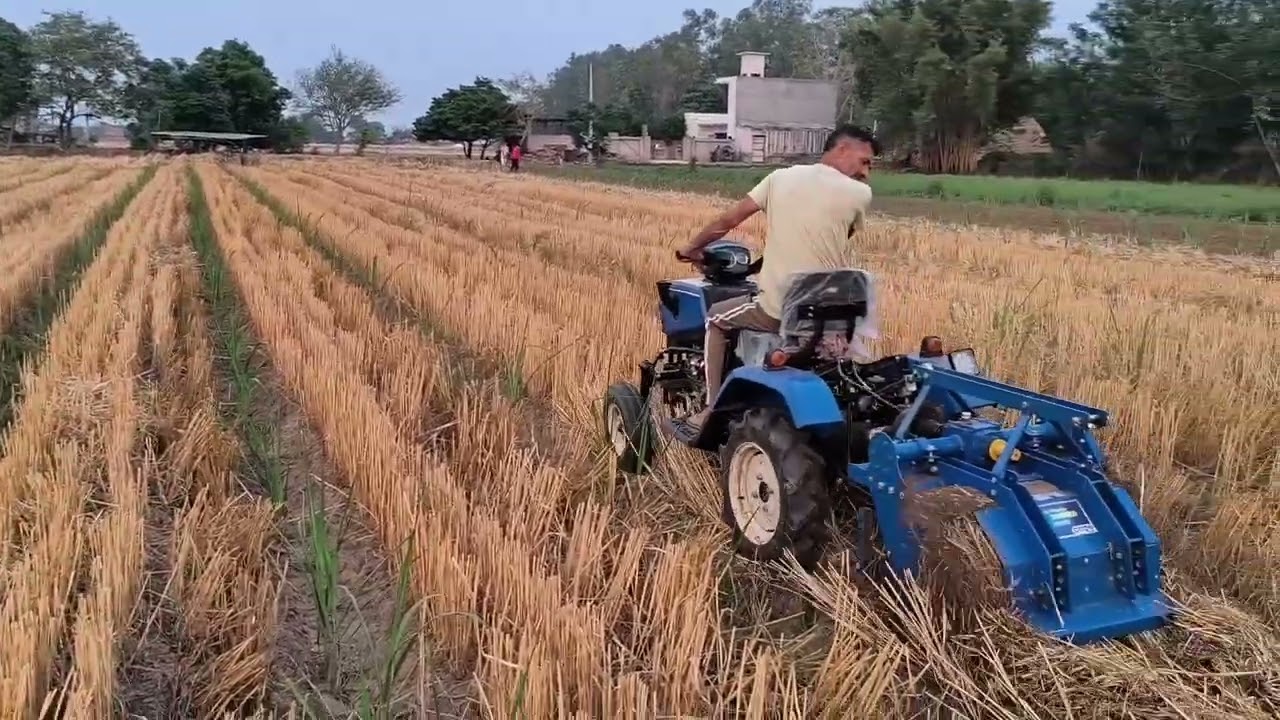 Sugarcane + Wheat - ( Bed Technique se ek saath lagaya )