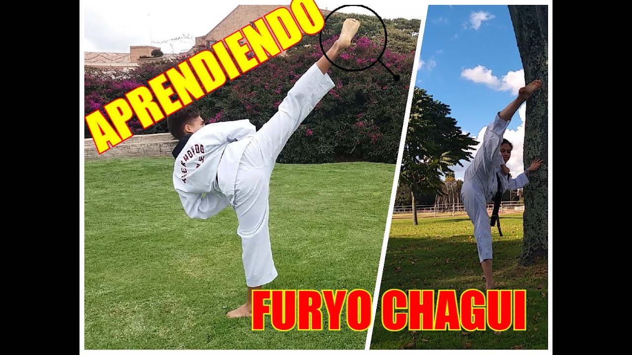 APRENDIENDO FURYO CHAGUI