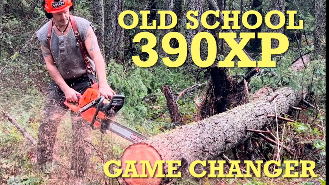Sometimes you just NAIL IT! Husky390xp .