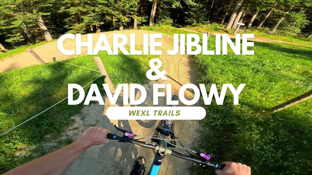 Charlie Jibline & David Flowy Bikepark Wexl Trails Austria 🇦🇹 Trail Review Full Run POV RAW